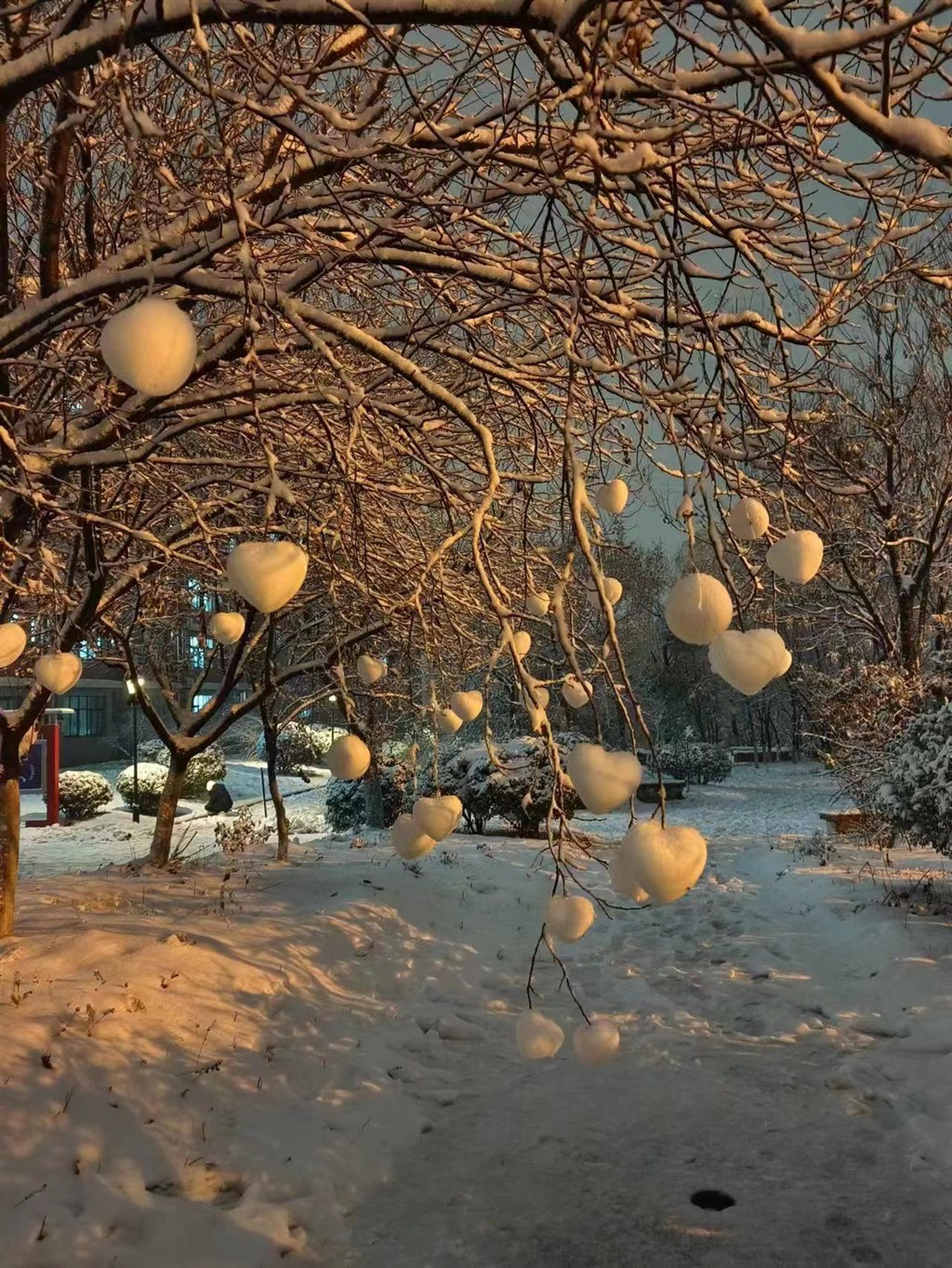 二等獎(jiǎng) 23軌道運(yùn)營(yíng)2班張利偉《冬日雪景》.jpg